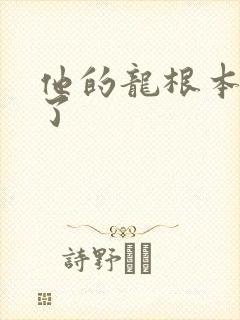 他的龙根本太大了