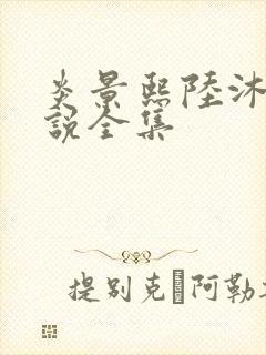 炎景熙陆沐擎小说全集