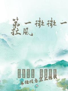 第一微微一笑很拉风