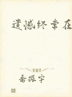 遗憾终常在小说