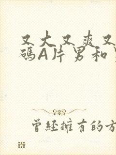 又大又爽又黄无码A片男和男