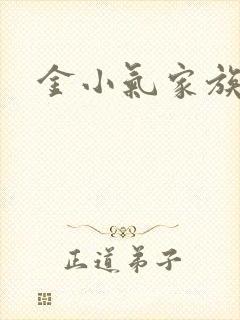 金小气家族小说