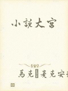 小说大宫