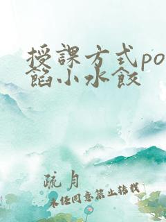 授课方式po肉馅小水饺