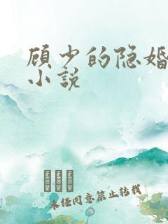 顾少的隐婚罪妻小说