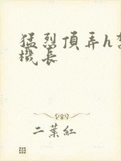 猛烈顶弄h禁欲机长