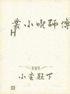 丛小吃师傅的HH