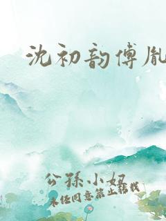 沈初韵傅胤小说