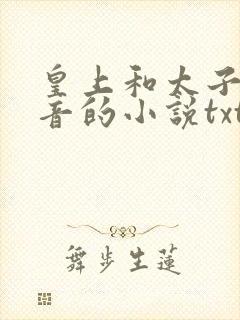 皇上和太子妃沈音的小说txt