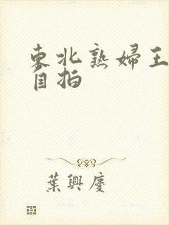 东北熟妇王梅娟自拍