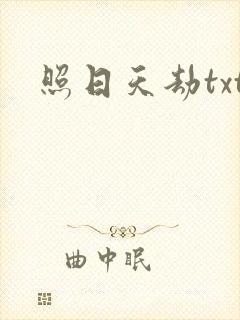 照日天劫txt