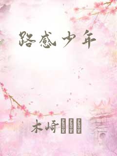 路感少年
