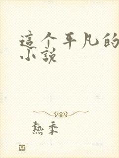 这个平凡的男子小说