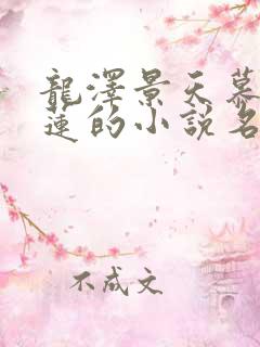 龙泽景天慕容青莲的小说名字