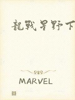 龙战星野下载