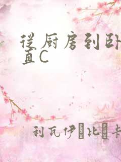 从厨房到卧室一直C