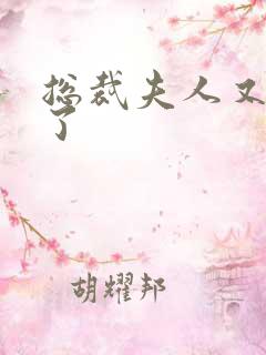 总裁夫人又征婚了