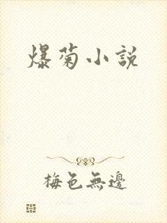 爆菊小说