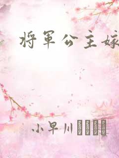 将军公主嫁到