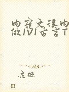 肉宠文很肉到处做1V1古言T