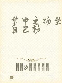 掌中之物坐上来自己动