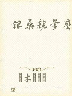 银桑亲爹么么哒