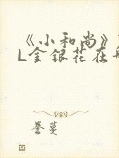 《小和尚》TXL金银花在哪里看