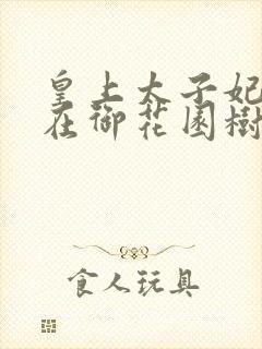 皇上太子妃沈音在御花园树上