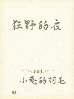 狂野的夜
