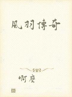 风羽传奇