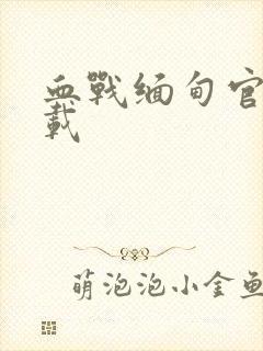 血战缅甸官方下载