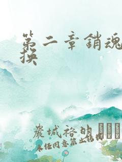 第二章销魂的交换