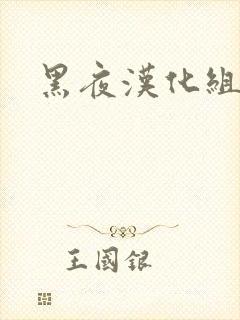 黑夜汉化组