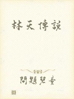 林天传说