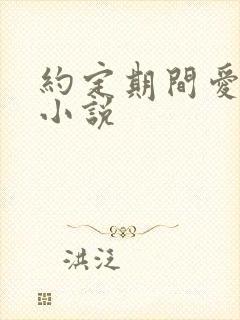 约定期间爱上你小说