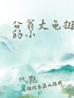 公翁大龟挺进我的小