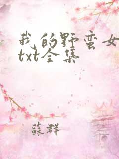 我的野蛮女上司txt全集