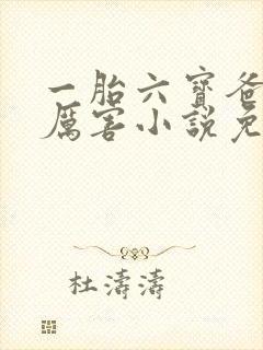 一胎六宝爸比好厉害小说免费阅读