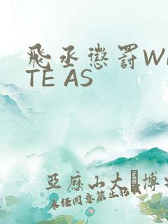 飞丞惩罚WRITE AS