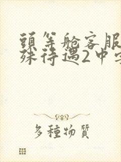 头等舱客服的特殊待遇2中字