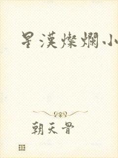 星汉灿烂小说