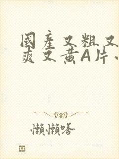 国产又粗又猛又爽又黄A片小说