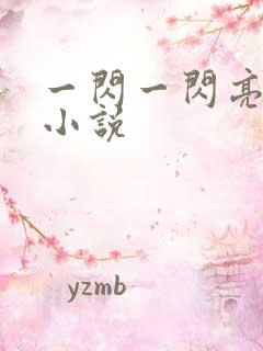 一闪一闪亮晶晶小说