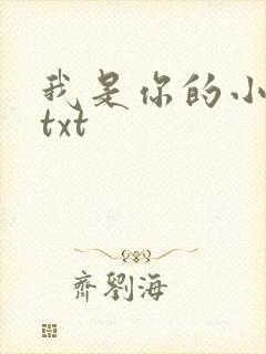 我是你的小小狗txt