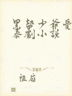 黑帮少爷爱上我泰剧小说