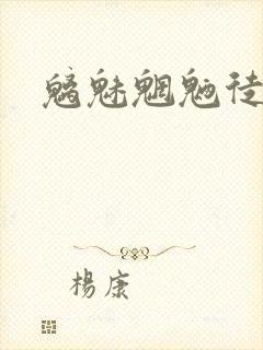 魑魅魍魉徒为尔