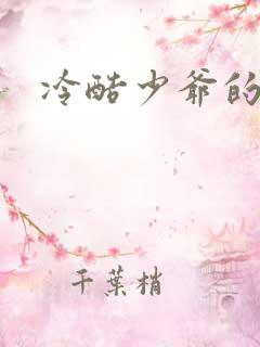 冷酷少爷的弃妻