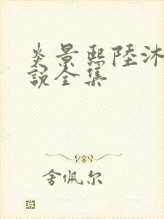 炎景熙陆沐擎小说全集