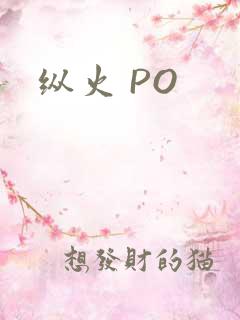 纵火 PO