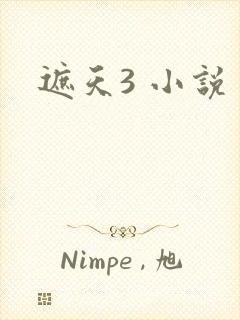 遮天3 小说